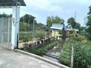 Đất Vuông sổ hồng riêng hẻm xe hơi 2798m2 Đông Thạnh 2 Hóc Môn