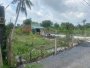 Đất Vuông sổ hồng riêng hẻm xe hơi 2798m2 Đông Thạnh 2 Hóc Môn
