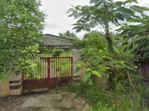 Đất mặt tiền SHR Đ.14m 3360m2, N.hậu Thạnh Xuân 52 Quận 12