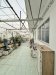 Giảm sốc 10tỷ! Nhà mặt tiền hậu nở SHR 4T 154m2 Nguyễn Văn Nghi Gò Vấp