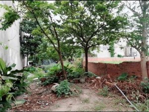 H1710 đất N.hậu Lê Văn Khương Q12, 233m2, sổ hồng riêng, 7.x tỷ