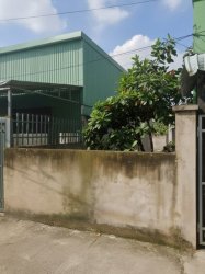 L1911 đất MT Thạnh Xuân 43 Q12, SHR, Vuông, 4.5x15.3m, 4.x tỷ