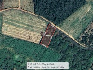 K1922 đất Phú Ngọc Đồng Nai, sổ hồng riêng, Vuông, hẻm xe hơi, 19.5x53m, 0.8 tỷ