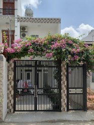 D1925 Giảm 100tr! nhà mặt tiền Tân Thới Hiệp 9 Q12, sổ hồng riêng, Vuông, 4x25m, 6.x tỷ