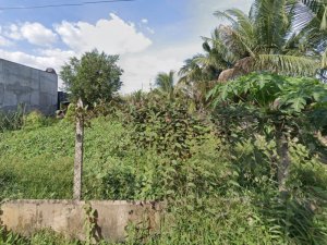 L1949 đất Đông Thạnh Hóc Môn, sổ hồng riêng, Vuông, HXT, 23x45m, 6.x tỷ