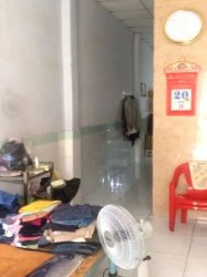 D2045 nhà Đông Hưng Thuận 42 Q12, sổ hồng riêng, Vuông, hẻm xe hơi, 4x16m, 4.x tỷ x nhỏ