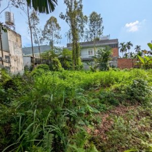 [D2284] SIÊU PHẨM ĐẤT NỀN Villa 460M2 CẠNH CẦU PHÚ LONG - GIÁ CHỈ 9.X TỶ