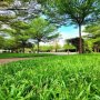 [D2344] Hết Cảnh Tìm Chỗ Đỗ Xe - Nhà Đặng Thùy Trâm Ô Tô Vào Nhà!