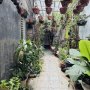 H2434 LO LẮNG MUA TRÚNG NHÀ TRANH CHẤP? Đã check an toàn 100%!