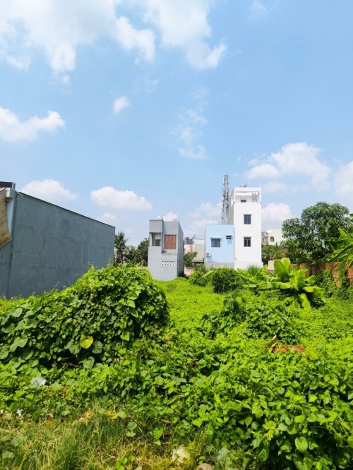 [KH009*] ĐẤT Villa VƯỜN sát TU VIỆN KHÁNH AN - GIÁ ĐTư 11.x TỶ