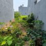 [KH009*] ĐẤT Villa VƯỜN sát TU VIỆN KHÁNH AN - GIÁ ĐTư 11.x TỶ