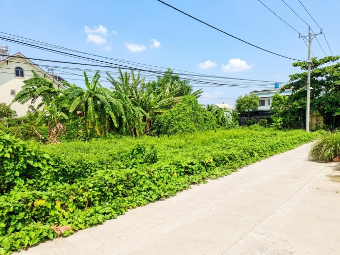 [O2510] Quỹ đất hiếm 800m2 Vườn Lài gần Senturia 37.x tỷ
