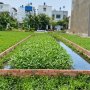 [K2580*] Chỉ 2.x tỷ sở hữu 100m2 lô đất vuông sát chợ Thạnh Xuân!