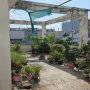 [D2577*] Chỉ 8x tỷ sở hữu Villa sân vườn 586m2 Đường Số 17 Hiệp Bình Chánh!