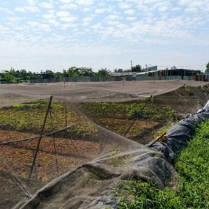 [K2658*] Sở hữu liền 3710m2 đất đa chức năng gần Phạm Văn Sáng, giá 29.x tỷ