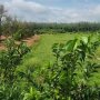 [L2682*] Với 1.8Ha Đất mặt tiền 53m Tại Truông Mít - 5.x Tỷ