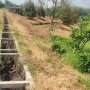 [L2682*] Với 1.8Ha Đất mặt tiền 53m Tại Truông Mít - 5.x Tỷ