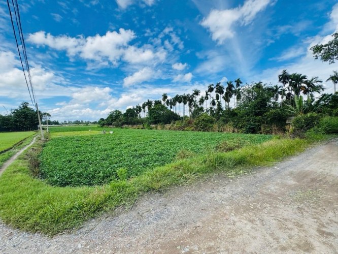[D2707] Quỹ đất khủng 4819m2 view sông cực hiếm Q12 - Giá 2x tỷ