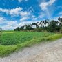 [D2707] Quỹ đất khủng 4819m2 view sông cực hiếm Q12 - Giá 2x tỷ