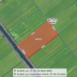 [T2733] Siêu Phẩm 1Ha Bình Lợi sát khu công nghiệp Hải Sơn Giá 29.x Tỷ