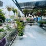 T2815 | Bán nhà mặt tiền lô góc gần Cầu An Lộc - 21.x tỷ