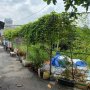[H5897] Đất sổ riêng lô góc hẻm XH Tô Ngọc Vân - Nhỉnh 3.x tỷ