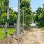 O2919* Lô Đất QH SKC 9017m2 Bà Điểm sát Ngã Ba Giòng 22.x Tỷ