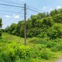 [T2975*] Đất lô đất vuông 675m2 hẻm XH Né cạnh Đường Bà Thiên Nhuận Đức, Giá 2.x Tỷ