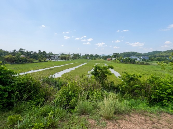 L2977* QUỸ ĐẤT LỚN 2680M2 NGUYỄN THỊ RÀNH, NHUẬN ĐỨC - GIÁ 10.X TỶ