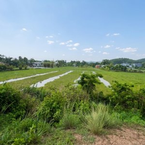 L2977* QUỸ ĐẤT LỚN 2680M2 NGUYỄN THỊ RÀNH, NHUẬN ĐỨC - GIÁ 10.X TỶ