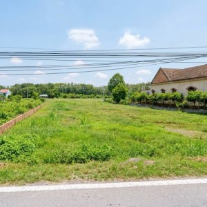T2981 Đất MT Đỗ Đăng Tuyển An Nhơn Tây 1594m2 Thổ cư Giá 18.x Tỷ