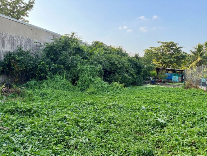 [D3127*] giá mềm bất ngờ, đất Tam Bình 656m2 (15x44m) lô đất vuông QL1A, 3x tỷ