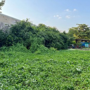 [D3127*] giá mềm bất ngờ, đất Tam Bình 656m2 (15x44m) lô đất vuông QL1A, 3x tỷ
