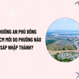 Săn nhà đất An Phú Đông 2026: 3 lưu ý "vàng" cho nhà đầu tư sành sỏi
