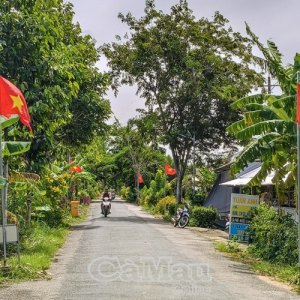 Toàn cảnh thị trường Vĩnh Lộc 2026: Rủi ro đi kèm cơ hội