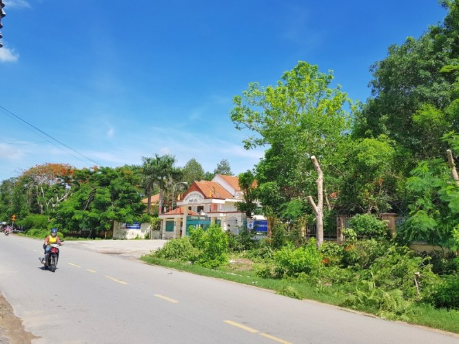Đầu tư đất Bình Mỹ: Đợi "hóa rồng" hay chấp nhận chôn vốn?