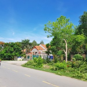 Đầu tư đất Bình Mỹ: Đợi "hóa rồng" hay chấp nhận chôn vốn?