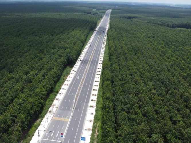 Đầu tư đất sào Phú Giáo: Bí kíp để không bị "chôn vốn" nơi vùng biên