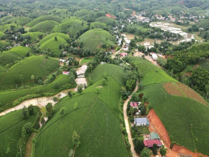Về Xuân Sơn xây tổ ấm: Khi đất lành không chỉ để đầu tư