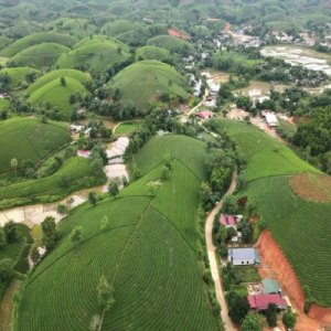 Về Xuân Sơn xây tổ ấm: Khi đất lành không chỉ để đầu tư
